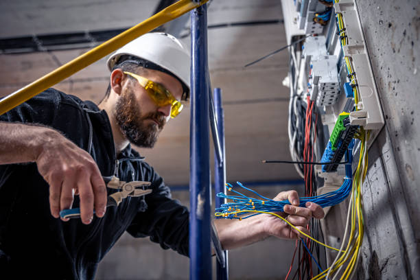 Best Electric Panel Repair  in Frontenac, KS